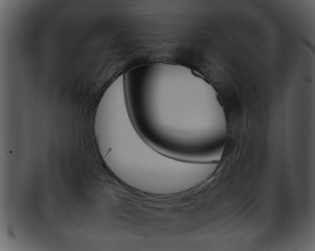 X0000096650041200802050944