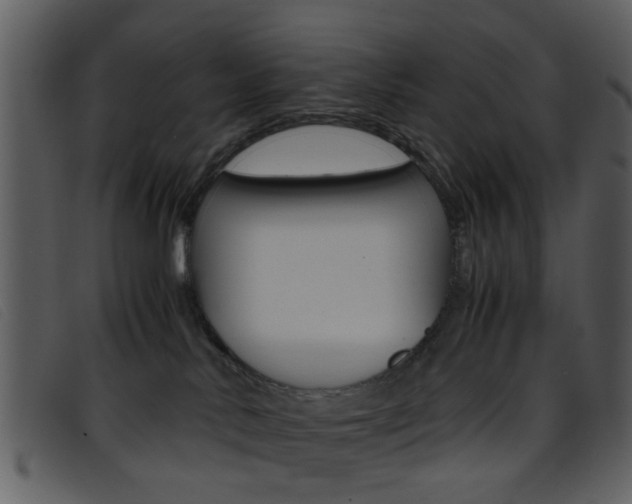 X0000096650042200802050944