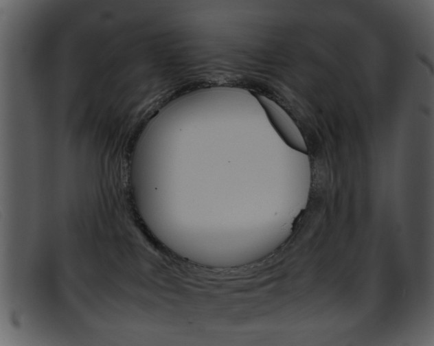 X0000096650043200802050944