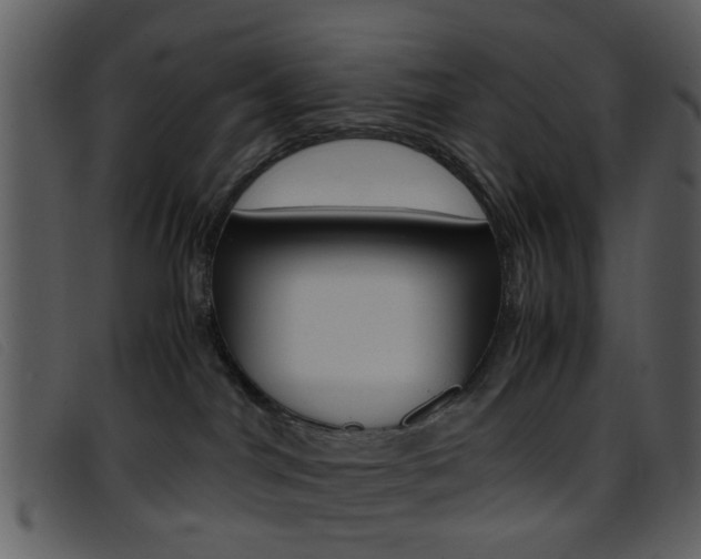 X0000096650044200802050944