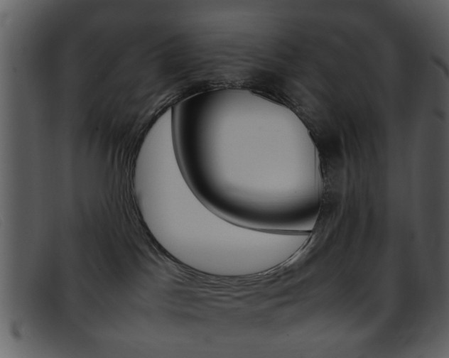 X0000096650045200802050944