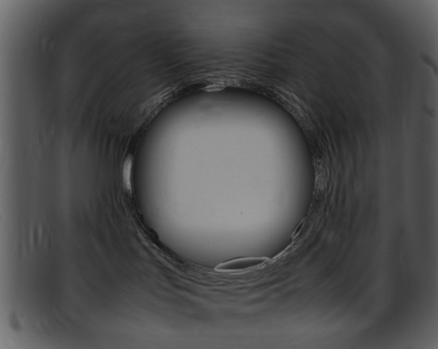 X0000096650047200802050944