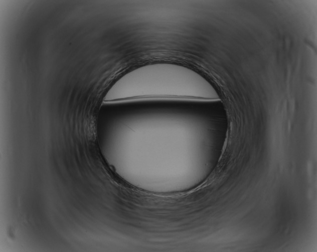 X0000096650048200802050944