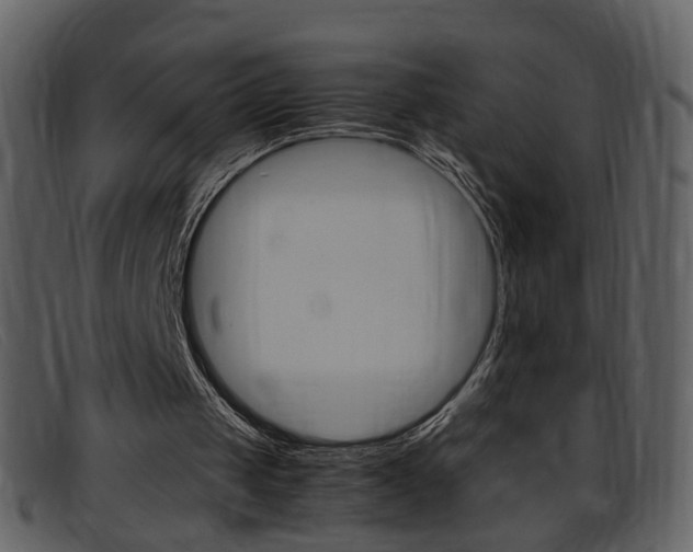 X0000096650049200802050943