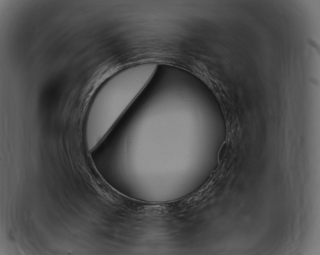 X0000096650050200802050943