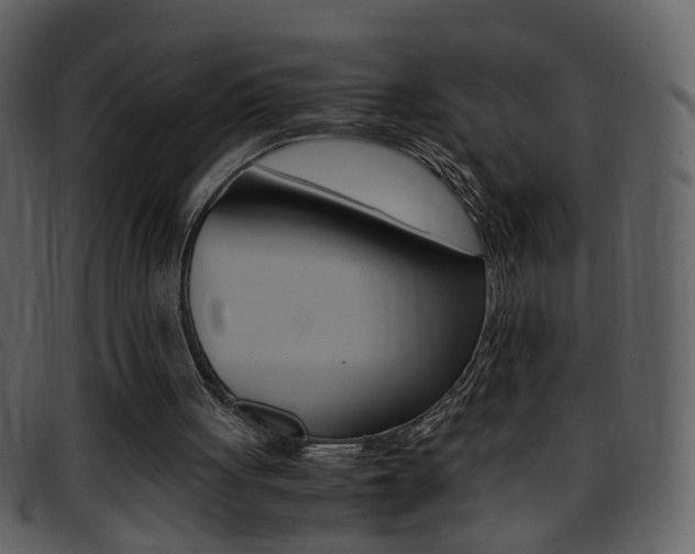 X0000096650051200802050943