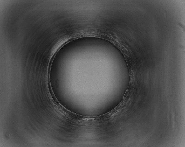 X0000096650052200802050943