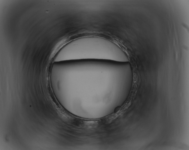 X0000096650053200802050943