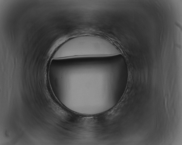 X0000096650054200802050943