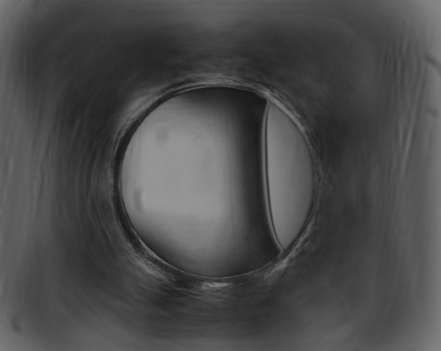 X0000096650055200802050943