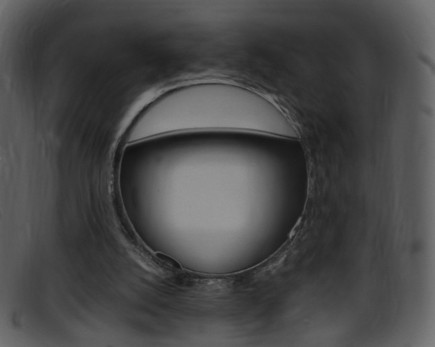 X0000096650056200802050943