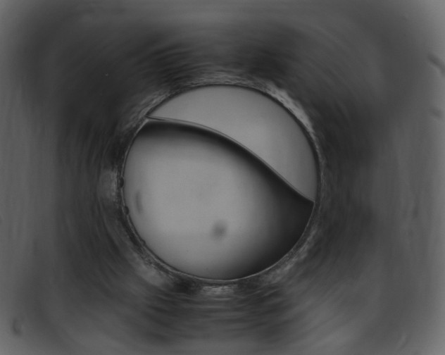 X0000096650057200802050943