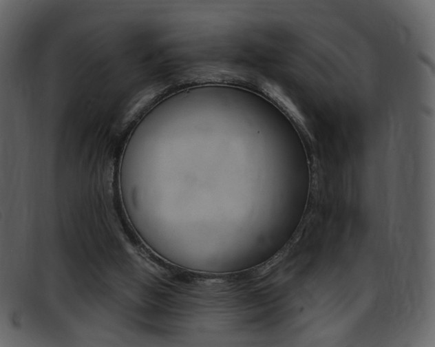 X0000096650058200802050943