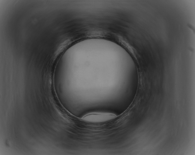 X0000096650059200802050943