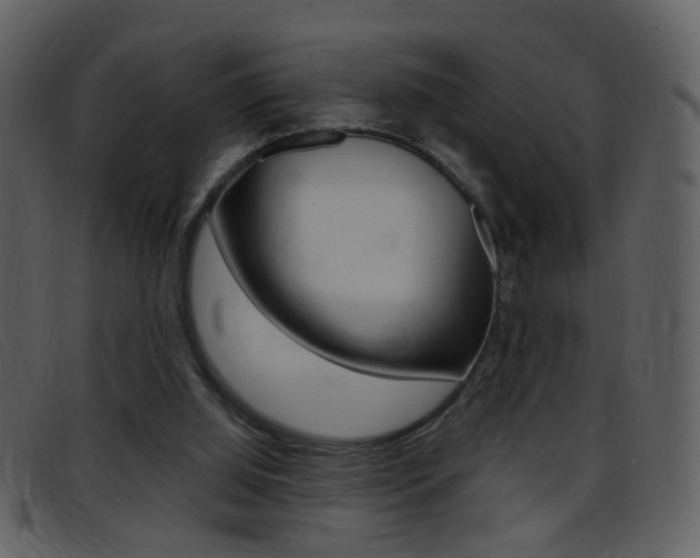 X0000096650060200802050943