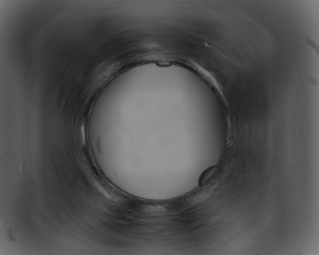 X0000096650061200802050943