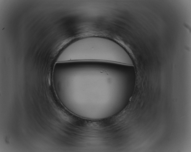 X0000096650062200802050943