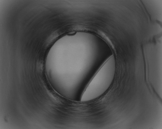 X0000096650063200802050943