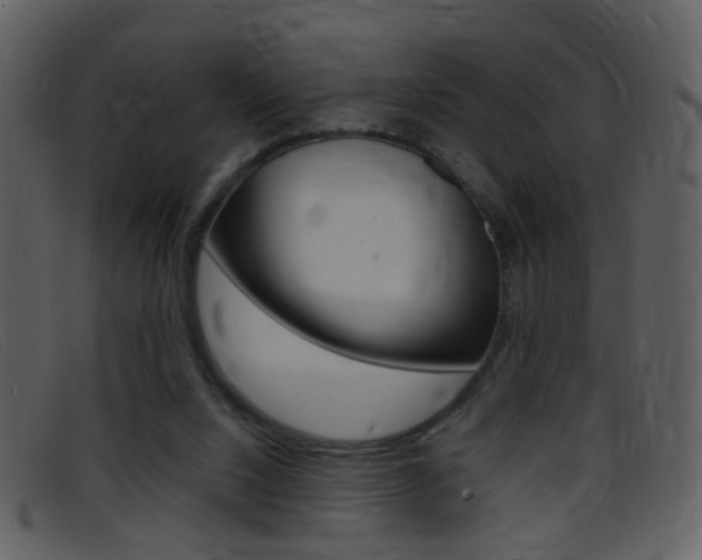 X0000096650064200802050943