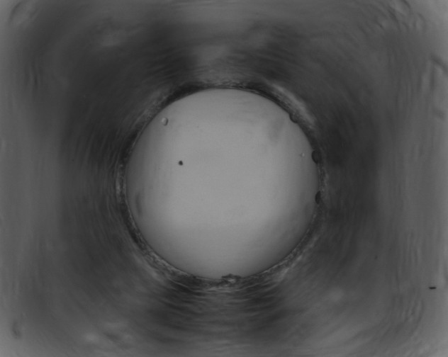 X0000096650065200802050943