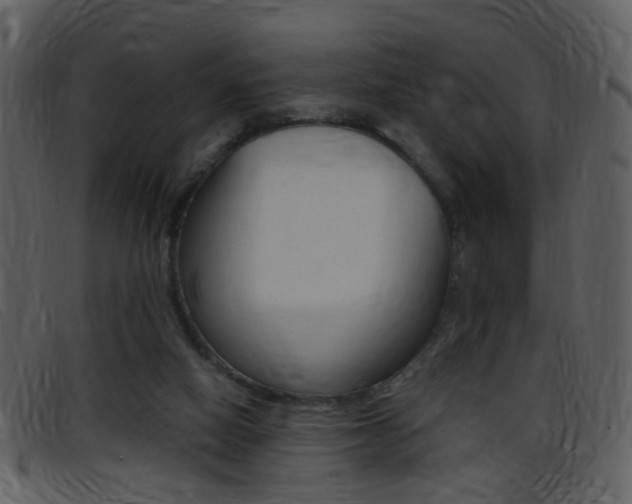 X0000096650066200802050943