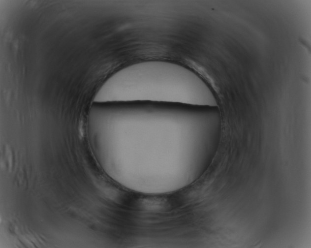 X0000096650069200802050943