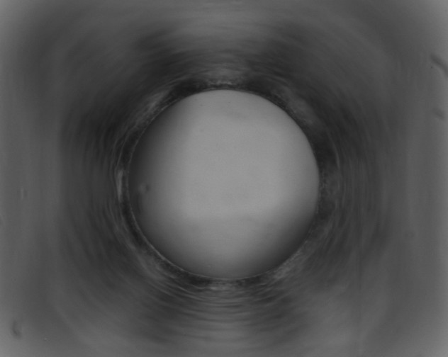 X0000096650070200802050943