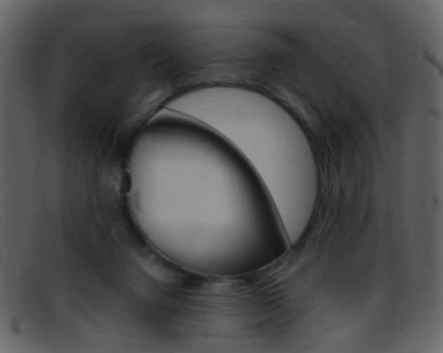 X0000096650072200802050943