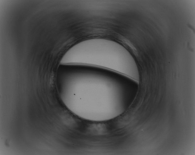 X0000096650073200802050943