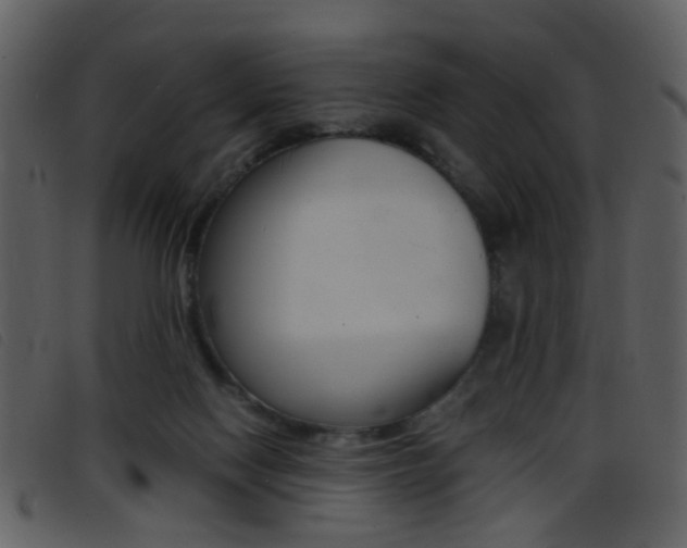 X0000096650074200802050943