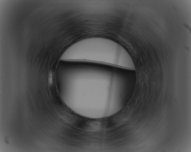 X0000096650075200802050943