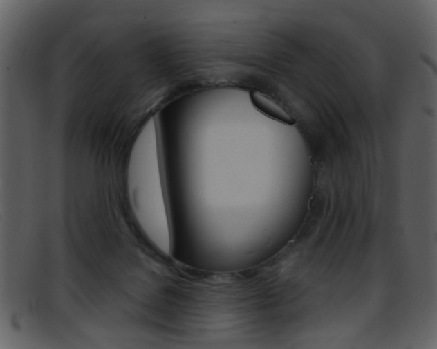 X0000096650076200802050943