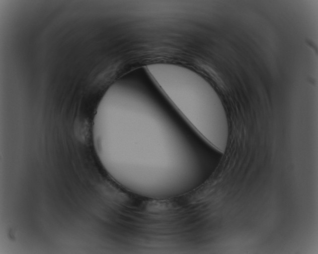 X0000096650077200802050943