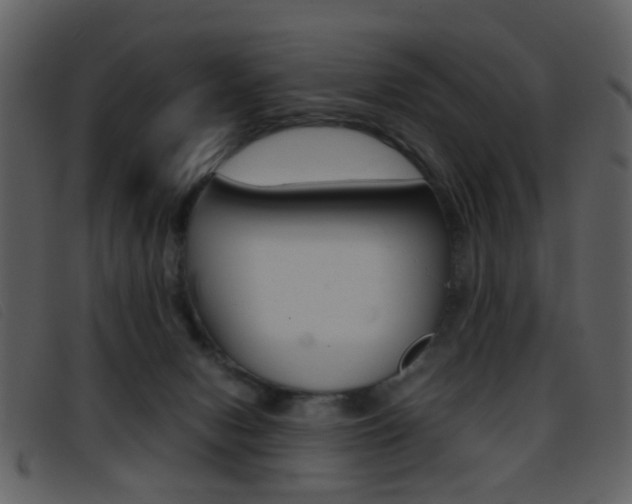 X0000096650078200802050943