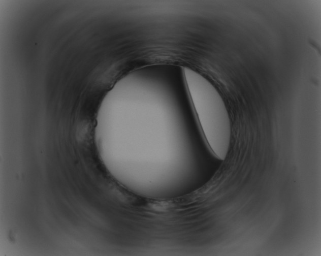 X0000096650079200802050943