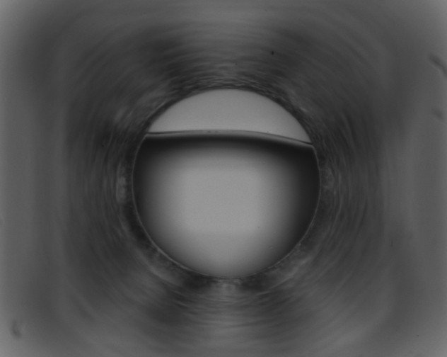 X0000096650080200802050943
