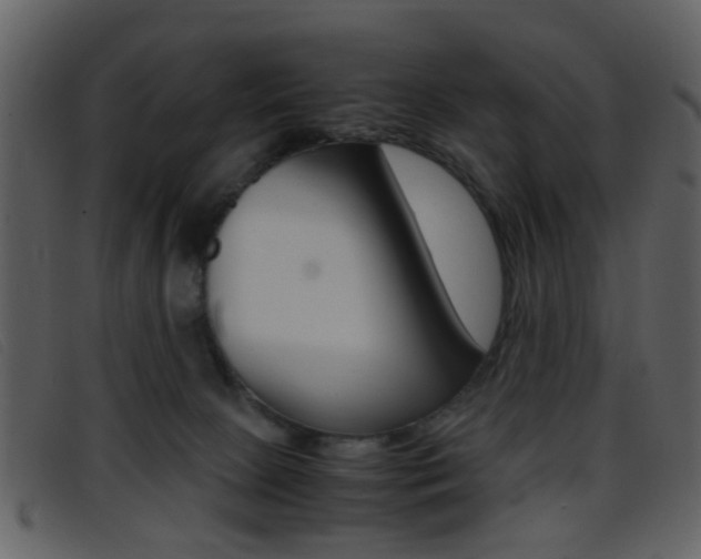 X0000096650081200802050943
