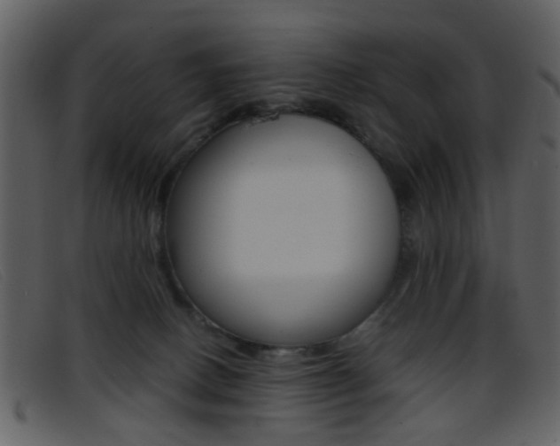 X0000096650082200802050943