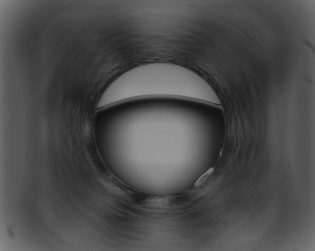 X0000096650084200802050943