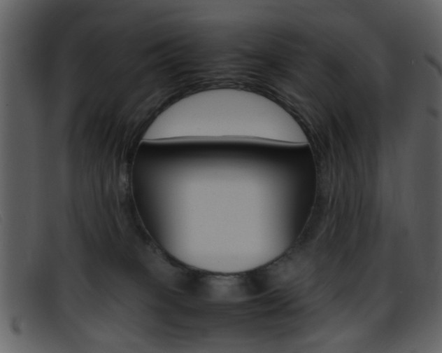 X0000096650085200802050943