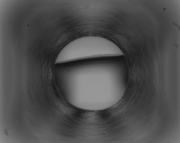 X0000096650086200802050943