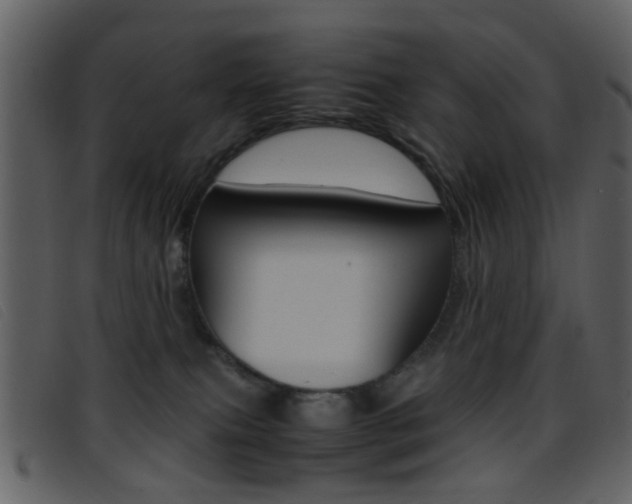 X0000096650087200802050943