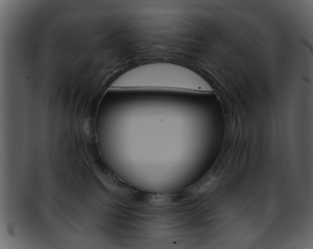 X0000096650088200802050943