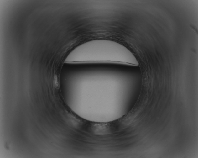 X0000096650089200802050943