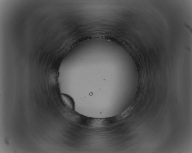 X0000096650090200802050943