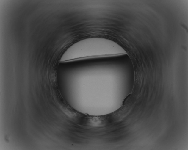 X0000096650091200802050943