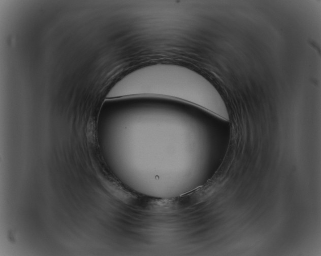 X0000096650092200802050943