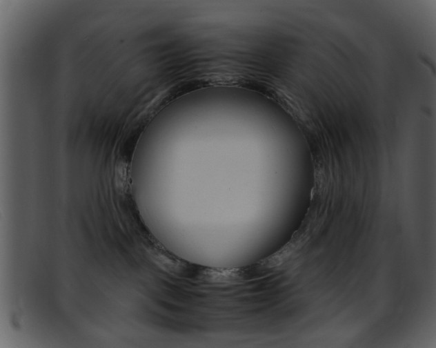 X0000096650093200802050943