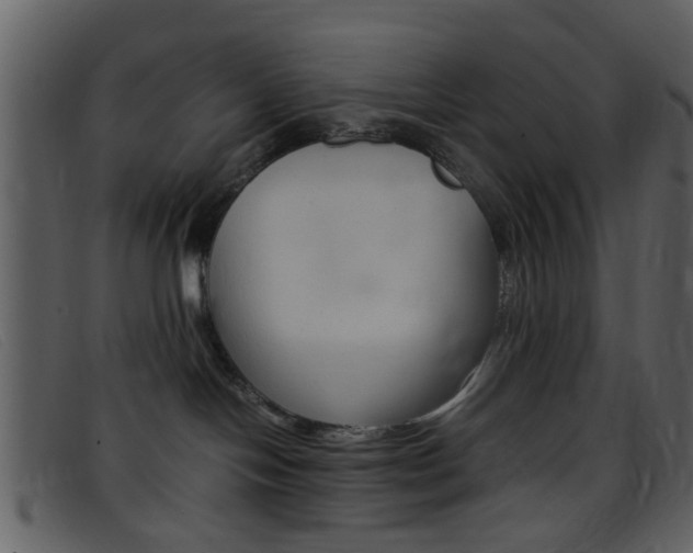 X0000096650094200802050944
