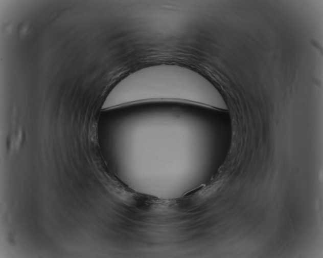 X0000096650096200802050944
